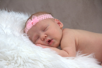 Enlarge photo 152