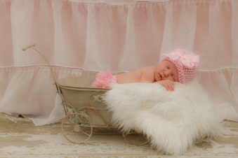 Enlarge photo 158