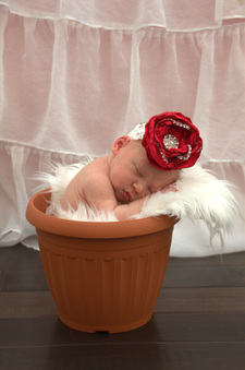 Enlarge photo 210
