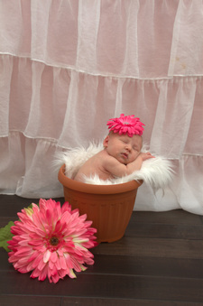 Enlarge photo 216