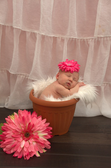 Enlarge photo 220