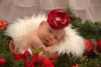 Enlarge photo 240