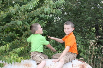 Enlarge photo 59