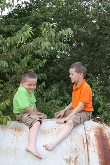 Enlarge photo 63