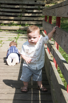 Enlarge photo 163