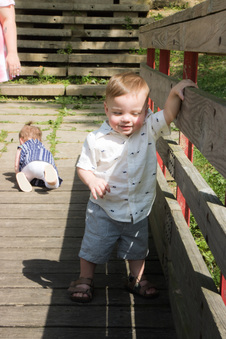 Enlarge photo 165