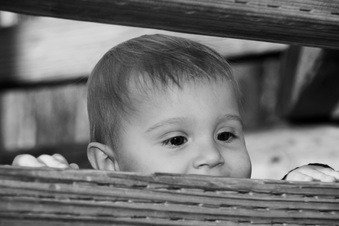 Enlarge photo 93