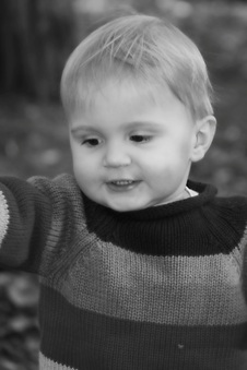 Enlarge photo 102