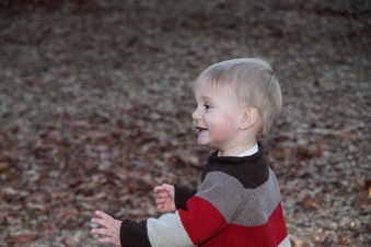 Enlarge photo 164