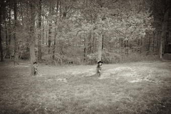 Enlarge photo 8