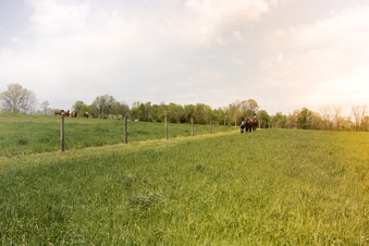 Enlarge photo 47