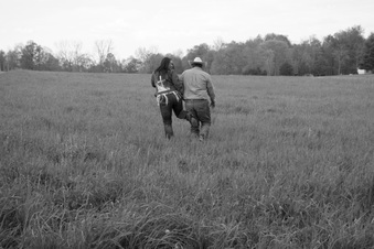 Enlarge photo 147