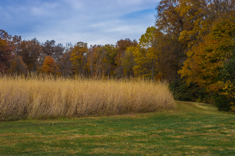 Enlarge photo 40