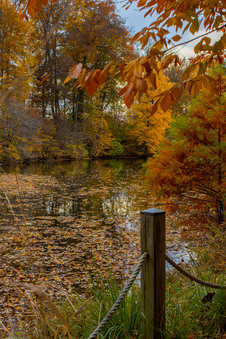 Enlarge photo 42