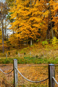 Enlarge photo 43