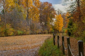 Enlarge photo 45