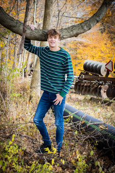Enlarge photo 135