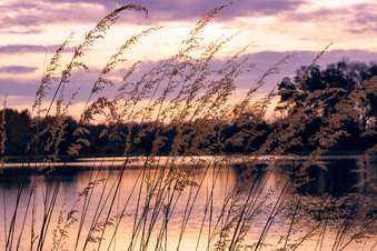 Enlarge photo 199