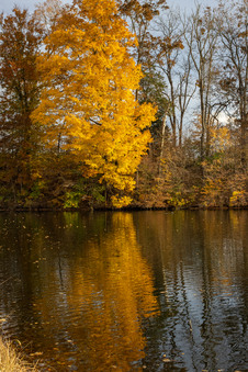 Enlarge photo 222