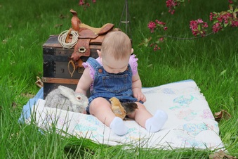 Enlarge photo 9