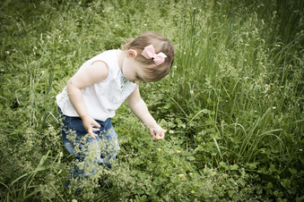 Enlarge photo 33