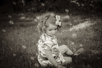 Enlarge photo 87