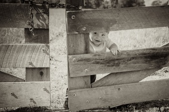 Enlarge photo 269