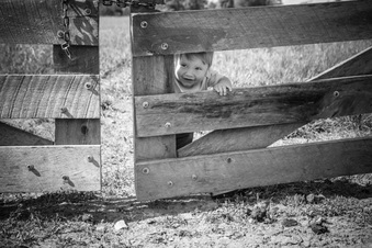 Enlarge photo 272