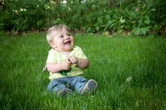 Enlarge photo 301