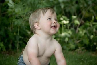 Enlarge photo 324