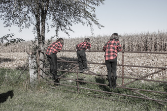 Enlarge photo 52
