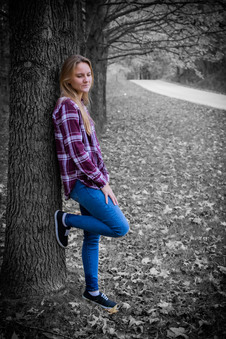 Enlarge photo 62