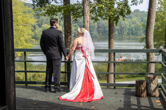 Enlarge photo 37