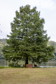 Enlarge photo 291