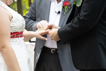 Enlarge photo 341