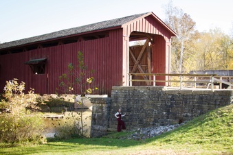 Enlarge photo 203