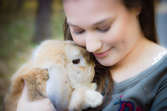 Enlarge photo 157