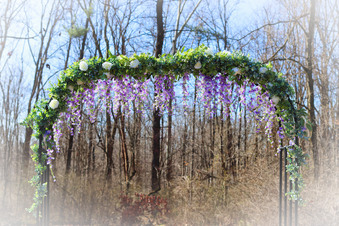 Enlarge photo 66