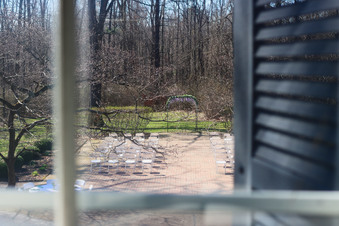 Enlarge photo 105