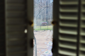 Enlarge photo 113