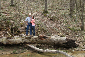 Enlarge photo 62