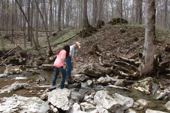Enlarge photo 82