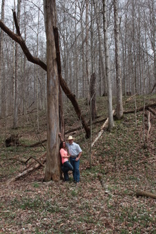 Enlarge photo 103