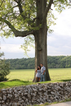 Enlarge photo 91