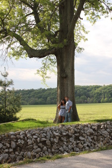 Enlarge photo 93