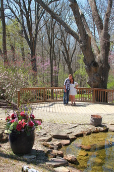 Enlarge photo 6