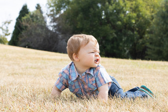 Enlarge photo 95