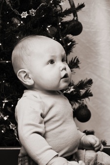 Enlarge photo 59