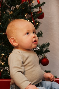 Enlarge photo 60