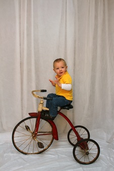Enlarge photo 151